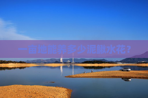一亩地能养多少泥鳅水花? 一亩地能养多少泥鳅水花?