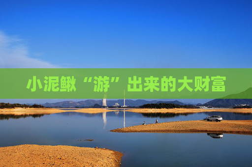 小泥鳅“游”出来的大财富