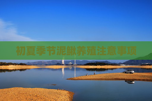 初夏季节泥鳅养殖注意事项