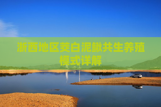浙西地区茭白泥鳅共生养殖模式详解