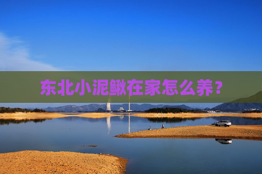 东北小泥鳅在家怎么养？
