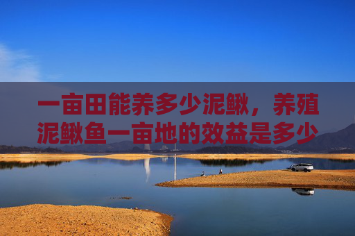 一亩田能养多少泥鳅,养殖泥鳅鱼一亩地的效益是多少? 一亩田能养多少泥鳅,养殖泥鳅鱼一亩地的效益是多少?