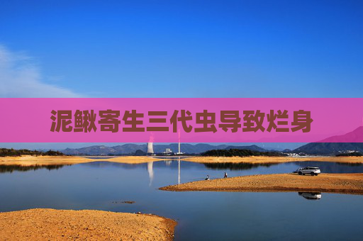泥鳅寄生三代虫导致烂身