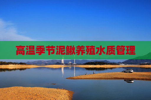 高温季节泥鳅养殖水质管理