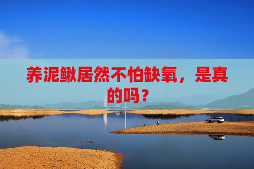 养泥鳅居然不怕缺氧，是真的吗？