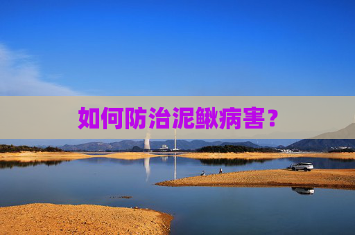 如何防治泥鳅病害？