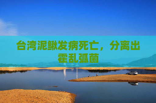 台湾泥鳅发病死亡，分离出霍乱弧菌