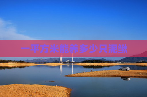 一平方米能养多少只泥鳅 一平方米能养多少只泥鳅