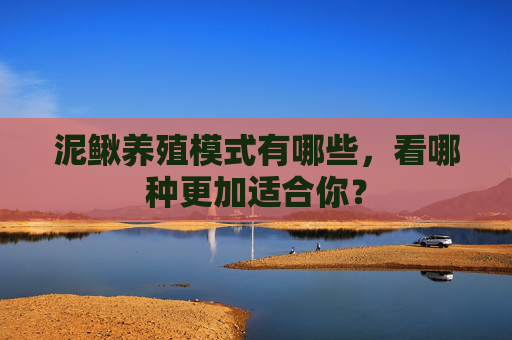 泥鳅养殖模式有哪些，看哪种更加适合你？