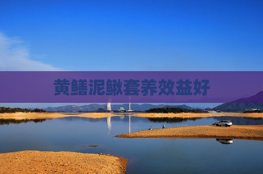 黄鳝泥鳅套养效益好