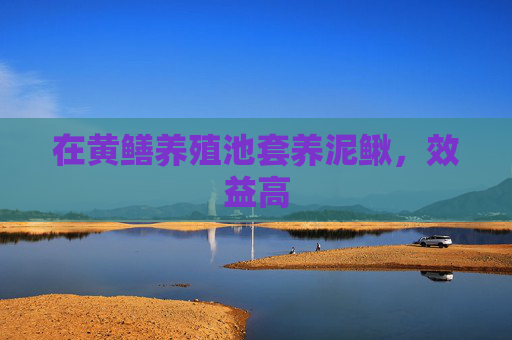 在黄鳝养殖池套养泥鳅，效益高