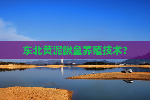 东北黄泥鳅鱼养殖技术？
