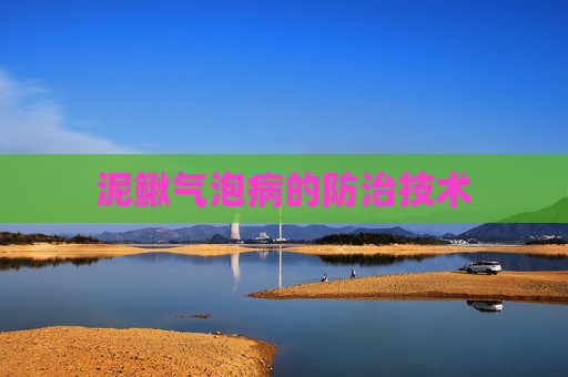 泥鳅气泡病的防治技术