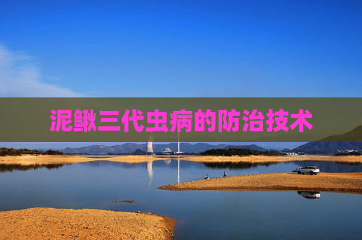 泥鳅三代虫病的防治技术
