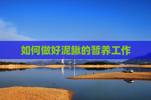 如何做好泥鳅的暂养工作