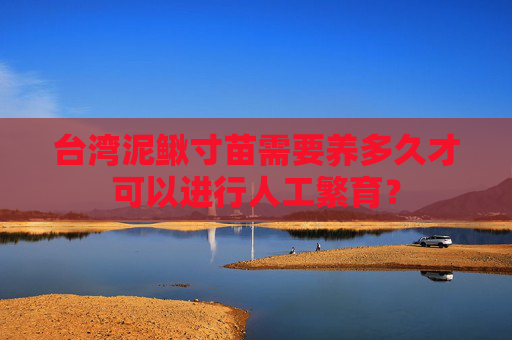 台湾泥鳅寸苗需要养多久才可以进行人工繁育？