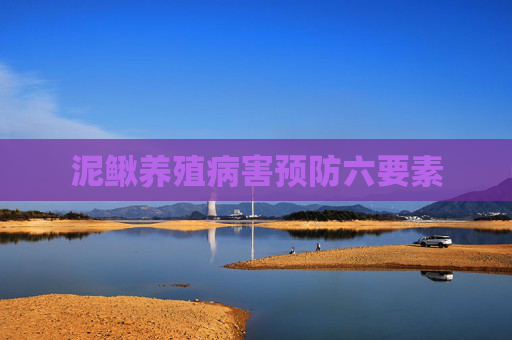 泥鳅养殖病害预防六要素