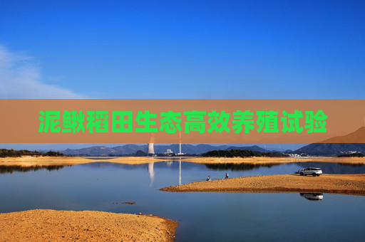泥鳅稻田生态高效养殖试验