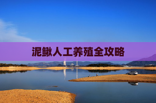 泥鳅人工养殖全攻略