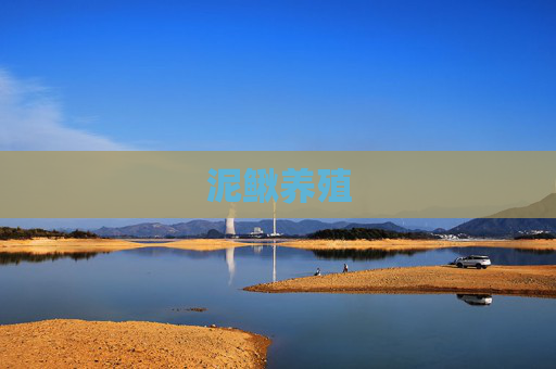 泥鳅养殖