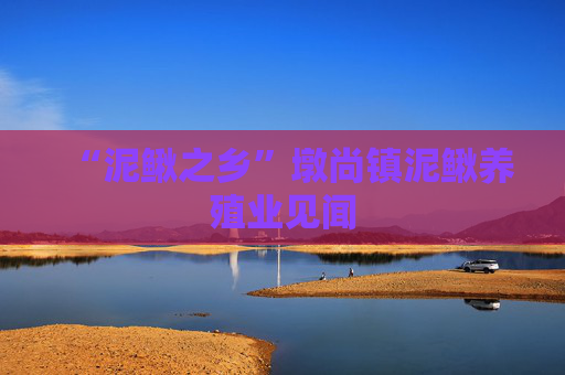 “泥鳅之乡”墩尚镇泥鳅养殖业见闻