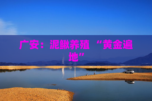 广安：泥鳅养殖 “黄金遍地”
