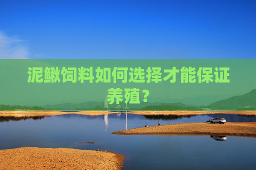 泥鳅饲料如何选择才能保证养殖？