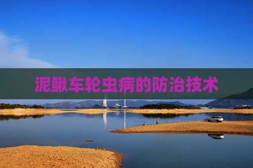 泥鳅车轮虫病的防治技术