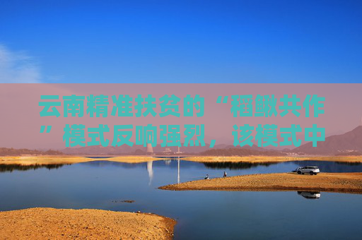 云南精准扶贫的“稻鳅共作”模式反响强烈，该模式中泥鳅苗种是关键