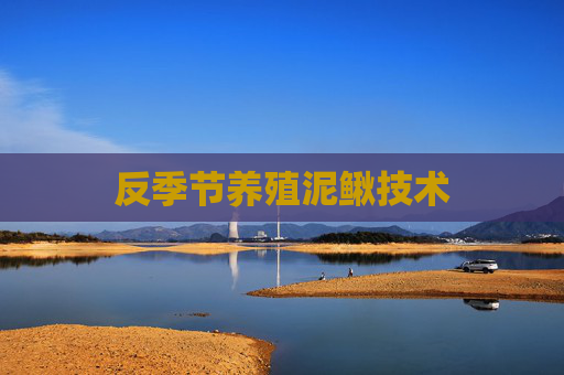 反季节养殖泥鳅技术