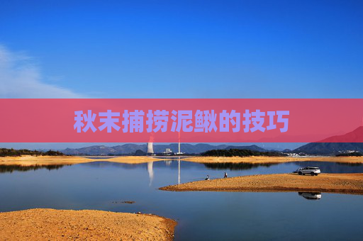 秋末捕捞泥鳅的技巧