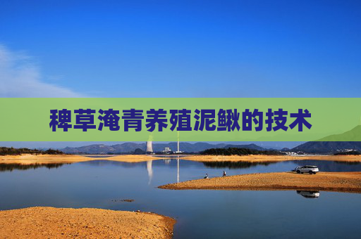 稗草淹青养殖泥鳅的技术