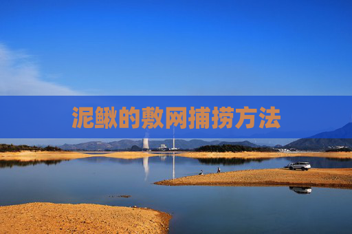 泥鳅的敷网捕捞方法