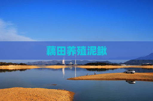 藕田养殖泥鳅