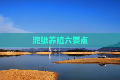 泥鳅养殖六要点