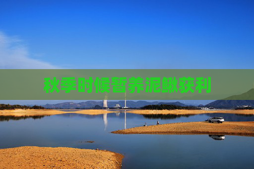 秋季时候暂养泥鳅获利