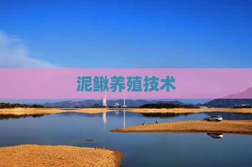 泥鳅养殖技术