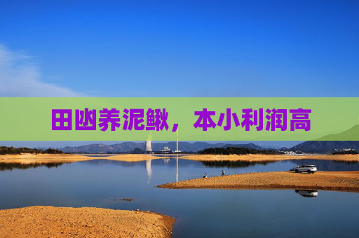 田凼养泥鳅，本小利润高