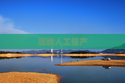 泥鳅人工催产