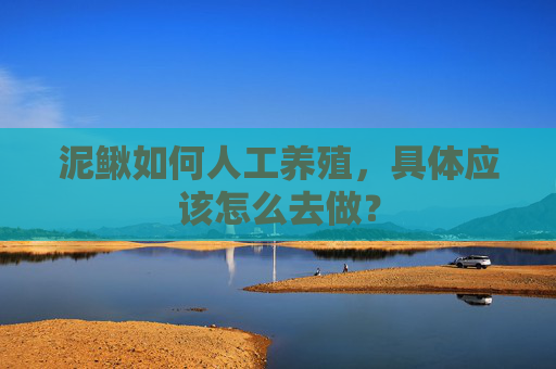 泥鳅如何人工养殖，具体应该怎么去做？