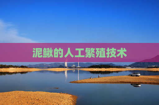泥鳅的人工繁殖技术 泥鳅的人工繁殖技术
