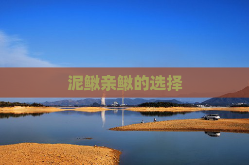 泥鳅亲鳅的选择