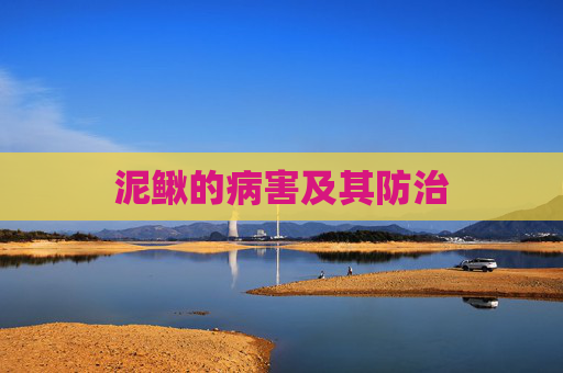 泥鳅的病害及其防治