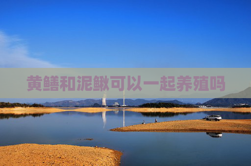黄鳝和泥鳅可以一起养殖吗 黄鳝和泥鳅可以一起养殖吗