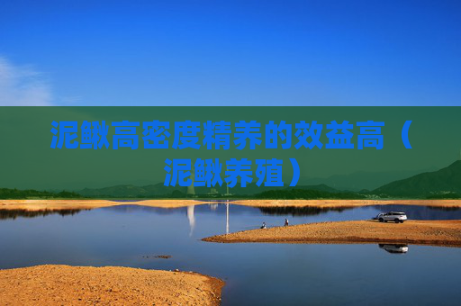 泥鳅高密度精养的效益高（泥鳅养殖）