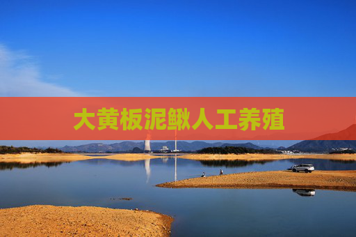 大黄板泥鳅人工养殖