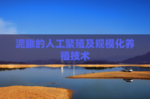 泥鳅的人工繁殖及规模化养殖技术