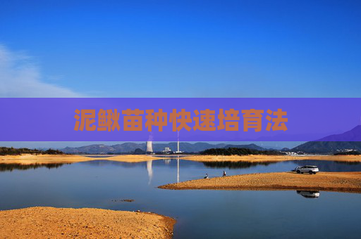 泥鳅苗种快速培育法