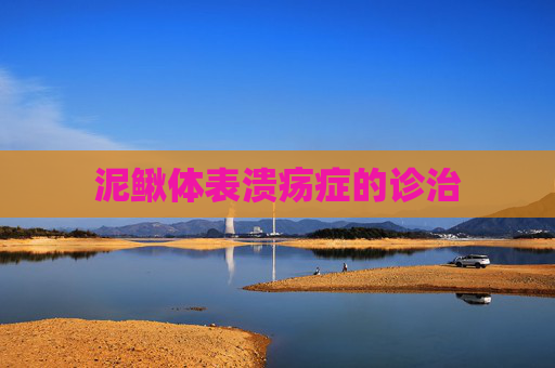 泥鳅体表溃疡症的诊治