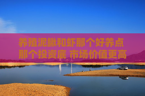养殖泥鳅和虾那个好养点 那个投资底 市场价值更高的 知道的帮忙解答一下 养殖泥鳅和虾那个好养点 那个投资底 市场价值更高的 知道的帮忙解答一下